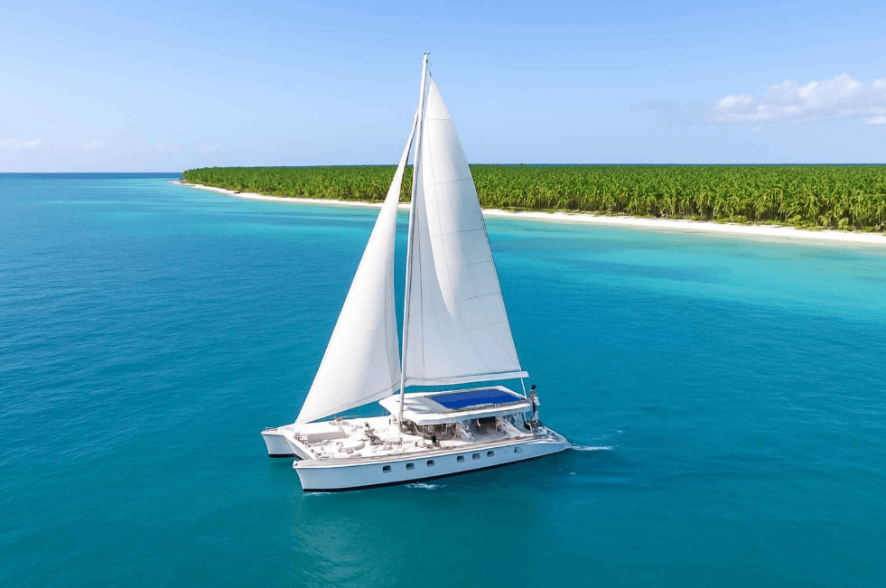¿Vale la pena visitar la isla Saona? Pros y contras