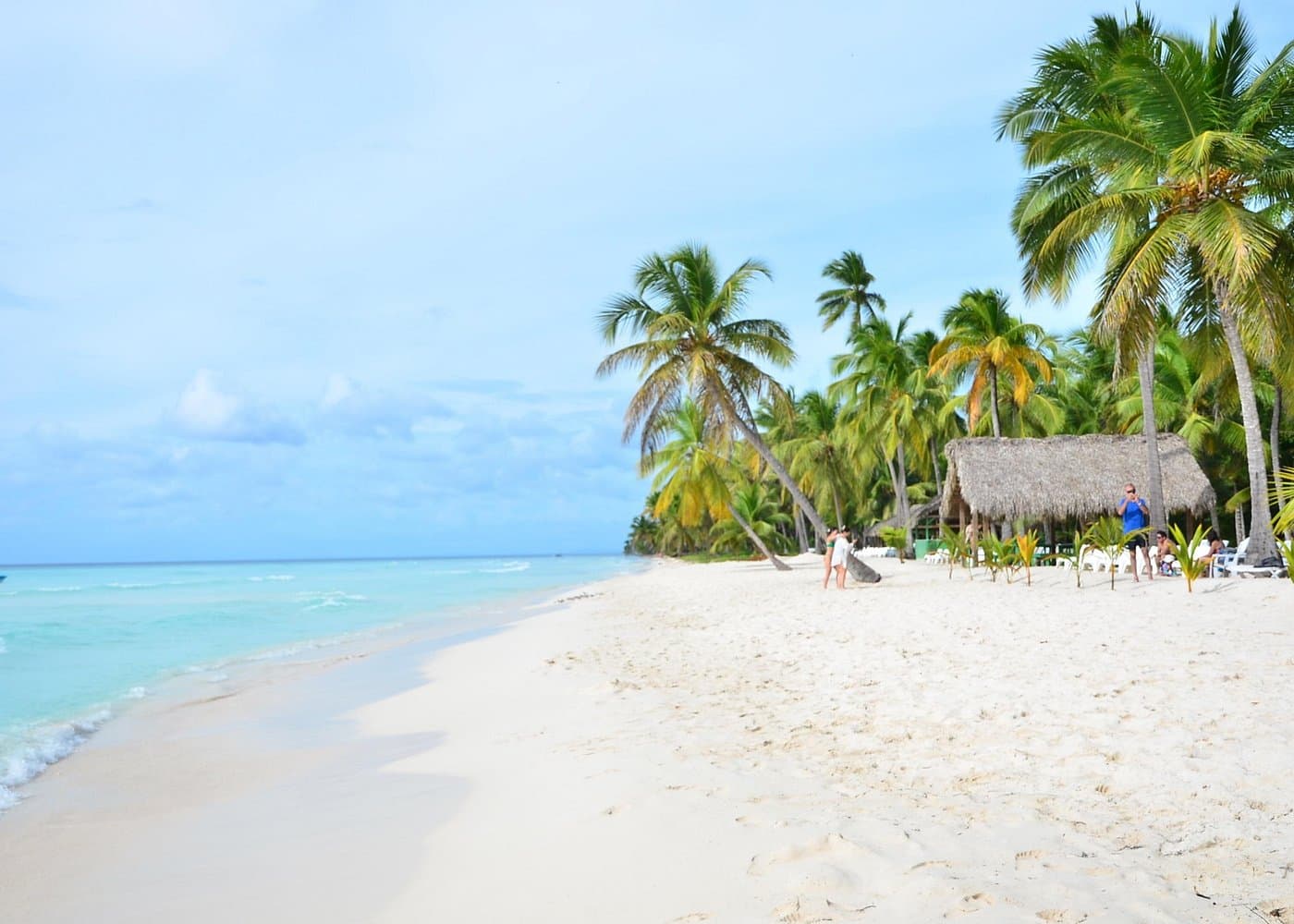 Private vs. Shared Saona Island Tours: Which Is Better?